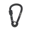 5kN Black Asymmetric Screwgate Hook