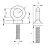 Long Shank Dynamo Eyebolts